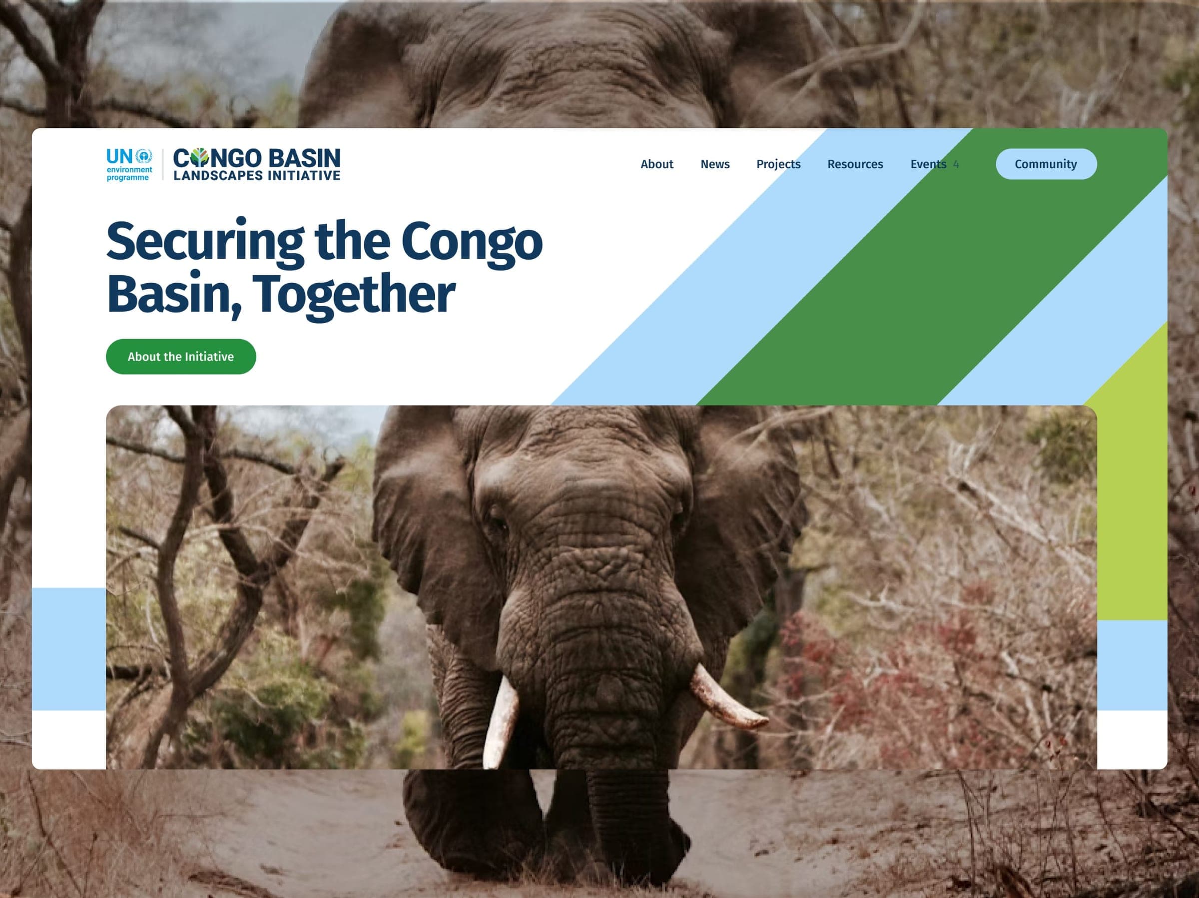 Securing the Congo Basin, Together